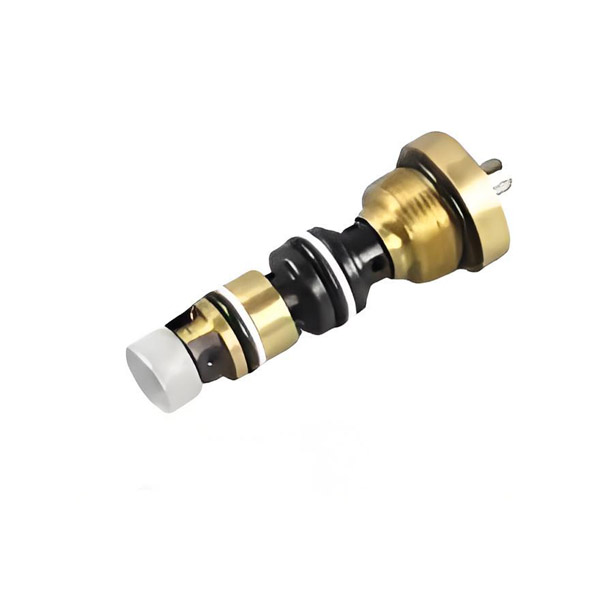 AC Type Pump Core Compatible with Most Chinese Models