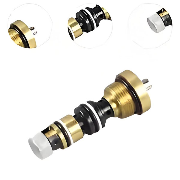 BF Pump Core Replacement for European Pallet Trucks